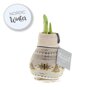Kerstmis Amaryllis Bol creme